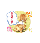 ラルクさん動画スタンプ01（個別スタンプ：6）