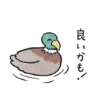 鳥たちといっしょ（個別スタンプ：8）