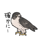 鳥たちといっしょ（個別スタンプ：13）