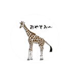 使える動物スタンプたち（個別スタンプ：2）