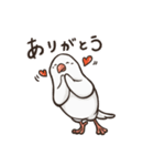 文鳥ぶんちゃんのスタンプ（個別スタンプ：2）