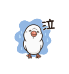 文鳥ぶんちゃんのスタンプ（個別スタンプ：9）