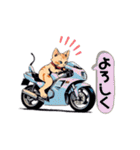 バイクにゃんこ（個別スタンプ：3）