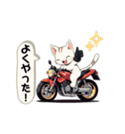 バイクにゃんこ（個別スタンプ：6）