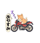 バイクにゃんこ（個別スタンプ：9）