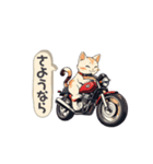 バイクにゃんこ（個別スタンプ：16）