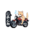 バイクにゃんこ（個別スタンプ：20）