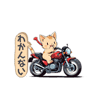 バイクにゃんこ（個別スタンプ：21）