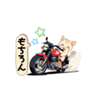 バイクにゃんこ（個別スタンプ：23）