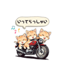 バイクにゃんこ（個別スタンプ：26）