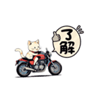 バイクにゃんこ（個別スタンプ：31）