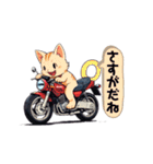 バイクにゃんこ（個別スタンプ：33）