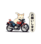 バイクにゃんこ（個別スタンプ：37）