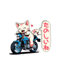 バイクにゃんこ（個別スタンプ：40）