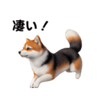 犬の日常会話スタンプ V2（個別スタンプ：12）