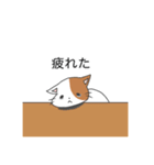 働く社畜猫（個別スタンプ：1）