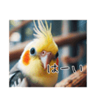 普段使いのオカメインコ（個別スタンプ：7）