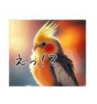 普段使いのオカメインコ（個別スタンプ：12）