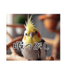 普段使いのオカメインコ（個別スタンプ：17）