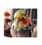 普段使いのオカメインコ（個別スタンプ：37）