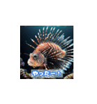 リアルな海の生物たち（個別スタンプ：30）