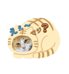 ぶっさん君3（個別スタンプ：1）
