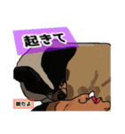 ペロちゃんず3（個別スタンプ：2）