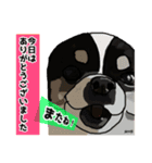 ペロちゃんず3（個別スタンプ：4）