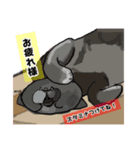 ペロちゃんず3（個別スタンプ：6）