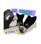 ペロちゃんず3（個別スタンプ：8）