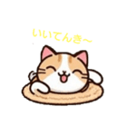 猫ダラスタンプ（個別スタンプ：5）