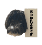 アンディvol.1（個別スタンプ：4）