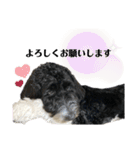 アンディvol.1（個別スタンプ：9）