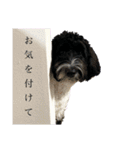 アンディvol.1（個別スタンプ：13）