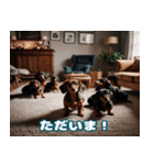 毎日使えるかわいいダックスフンドスタンプ（個別スタンプ：11）