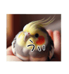 現代的なオカメインコ（個別スタンプ：1）