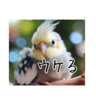 現代的なオカメインコ（個別スタンプ：2）