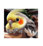 現代的なオカメインコ（個別スタンプ：3）