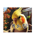 現代的なオカメインコ（個別スタンプ：5）