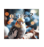 現代的なオカメインコ（個別スタンプ：8）