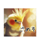 現代的なオカメインコ（個別スタンプ：17）