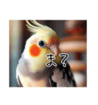 現代的なオカメインコ（個別スタンプ：24）