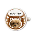 マルプーの杏子ちゃんスタンプでらっくす（個別スタンプ：14）