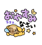 マルプーの杏子ちゃんスタンプでらっくす（個別スタンプ：16）