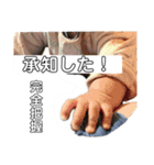 愛すべき人間のスタンプ（個別スタンプ：21）