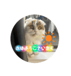 キキちゃんスタンプ3（個別スタンプ：10）