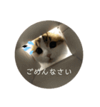 キキちゃんスタンプ3（個別スタンプ：11）