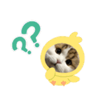 キキちゃんスタンプ3（個別スタンプ：17）