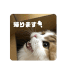 キキちゃんスタンプ3（個別スタンプ：20）