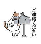 三毛猫の敬語スタンプ（個別スタンプ：10）